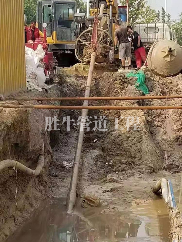 黄色麻豆视频