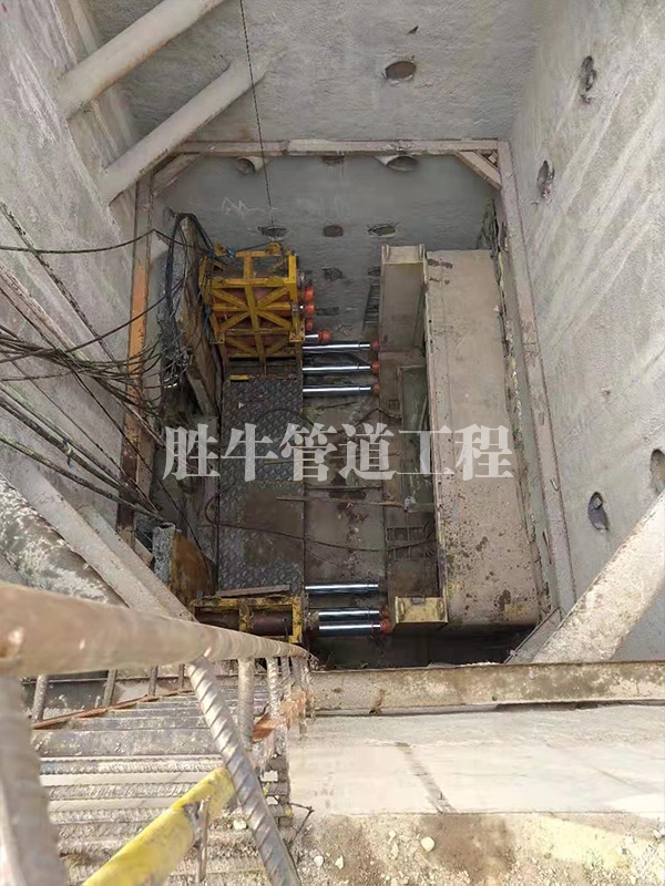 91麻豆啪啪免费看